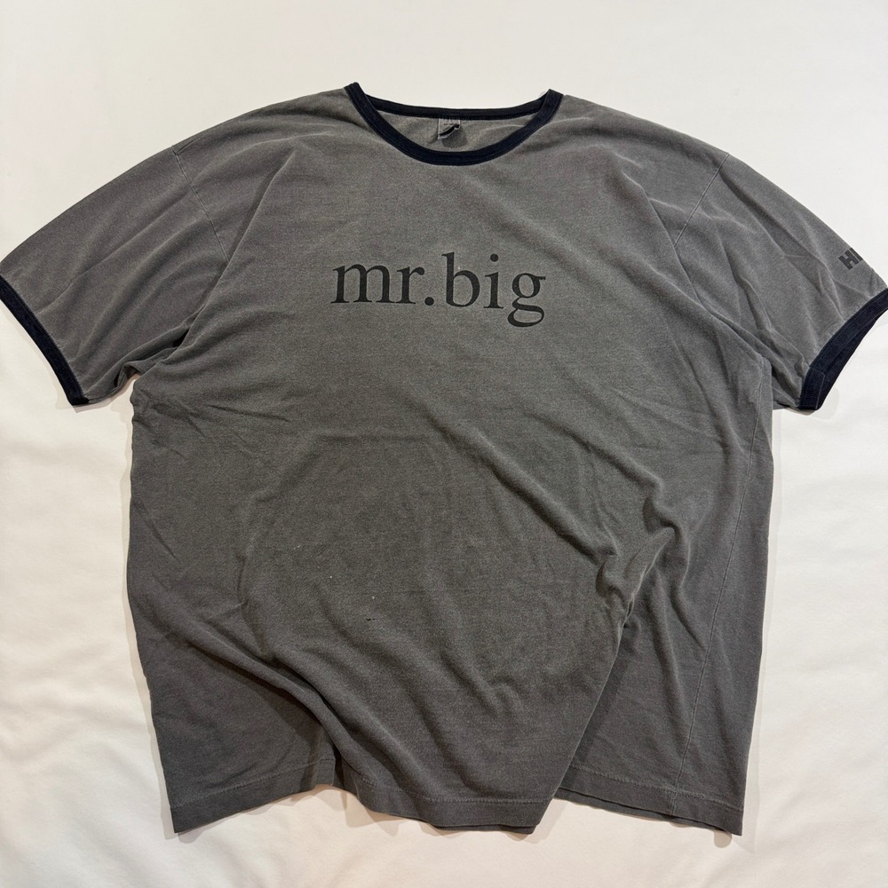 Alternative Apparel Sex and the City Mr Big Ringer Tee Men XL Gray Good HBO TV